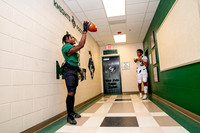 CLEAR_FALLS_FB_#1, #3-(WRIGHT)