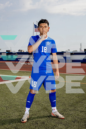 ALDINE_SOC-(BROWN)-599
