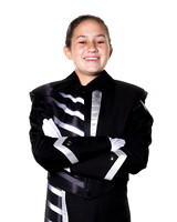 LAMAR_BAND_-(BROWN)