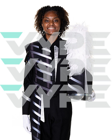 LAMAR_BAND_-(BROWN)-15
