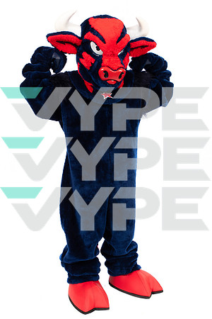 LAMAR_CHEER_MASCOT_-(WRIGHT)