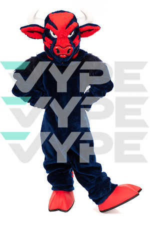 LAMAR_CHEER_MASCOT_-(WRIGHT)-3