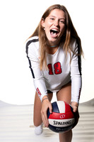 LAMAR_VB_-(BROWN)-10