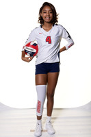 LAMAR_VB_-(BROWN)-11