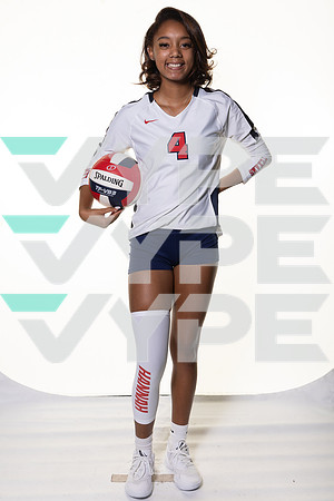 LAMAR_VB_-(BROWN)-11