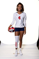 LAMAR_VB_-(BROWN)-12