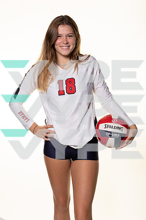 LAMAR_VB_-(BROWN)-8