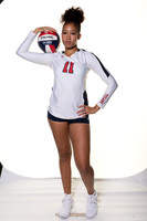 LAMAR_VB_-(BROWN)-19
