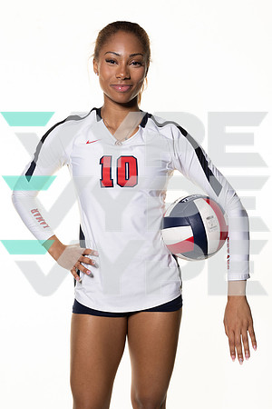 LAMAR_VB_-(BROWN)