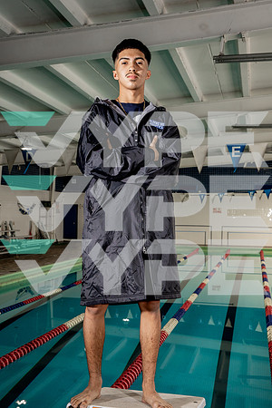 ALDINE_SWIM-(BROWN)-640