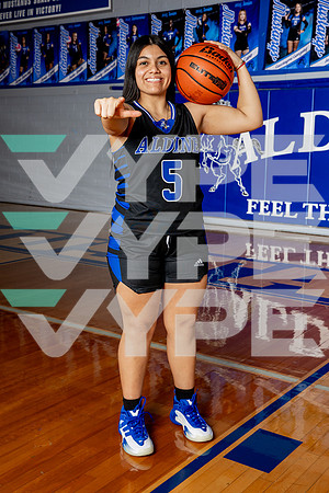 ALDINE_GBB-(BROWN)-400