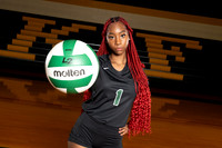 KLEIN_FOREST_VB_-(BCC)-10