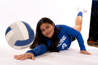 ALDINE_VB_-(WRIGHT)-11