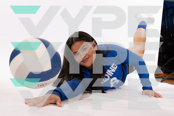 ALDINE_VB_-(WRIGHT)-11