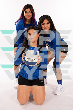 ALDINE_VB_-(WRIGHT)-14