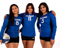 ALDINE_VB_-(WRIGHT)-13