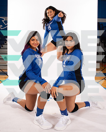 ALDINE_VB_-(WRIGHT)-15