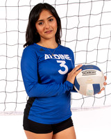 ALDINE_VB_-(WRIGHT)-2