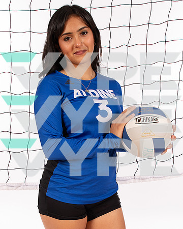 ALDINE_VB_-(WRIGHT)-2