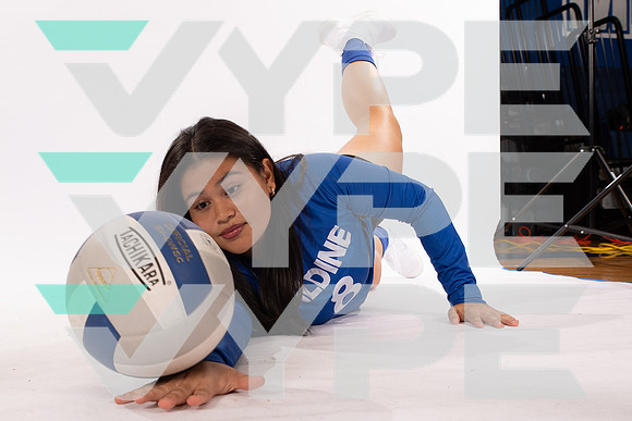 ALDINE_VB_-(WRIGHT)-10