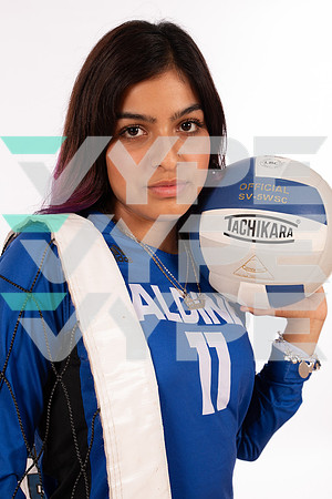 ALDINE_VB_-(WRIGHT)-3