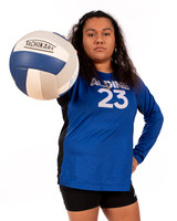 ALDINE_VB_-(WRIGHT)-6