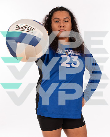 ALDINE_VB_-(WRIGHT)-6
