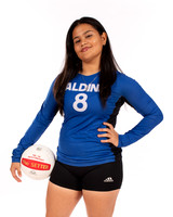 ALDINE_VB_-(WRIGHT)-9
