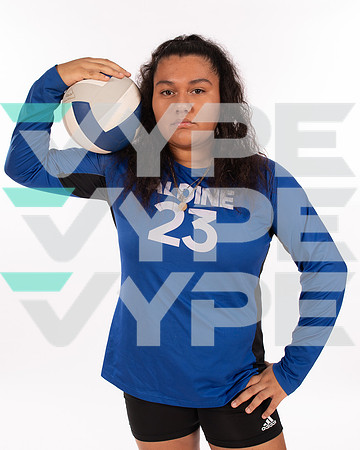 ALDINE_VB_-(WRIGHT)-8