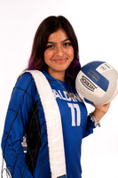 ALDINE_VB_-(WRIGHT)-4