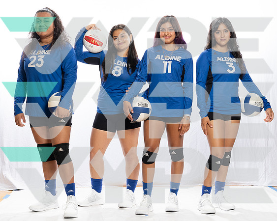 ALDINE_VB_TEAM_-(BCC)