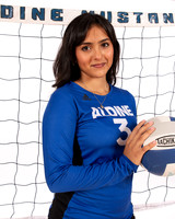 ALDINE_VB_-(WRIGHT)