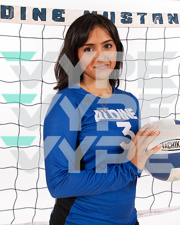 ALDINE_VB_-(WRIGHT)