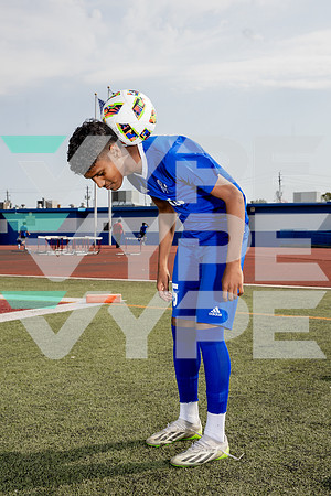 ALDINE_SOC-(BROWN)-615