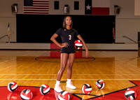 ROSEHILL_VB_-(BROWN)-2