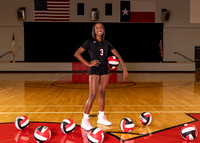 Volleyball