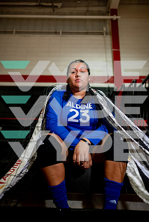 ALDINE_VB_09937-(DRISKILL)