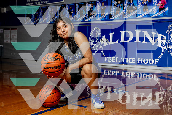 ALDINE_GBB-(BROWN)-404