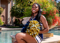 SBS_CHEER_-(BROWN)-14