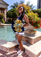 SBS_CHEER_-(BROWN)-11