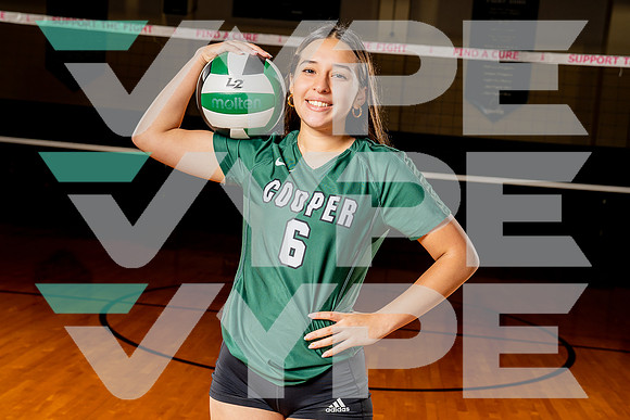 COOPER_VB-(COLLIER)-28