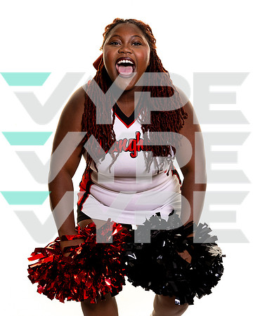 LANGHAM_CREEK_CHEER_c3-(BROWN)-6