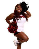 LANGHAM_CREEK_CHEER_c3-(BROWN)-5