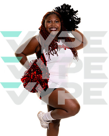 LANGHAM_CREEK_CHEER_c3-(BROWN)-5