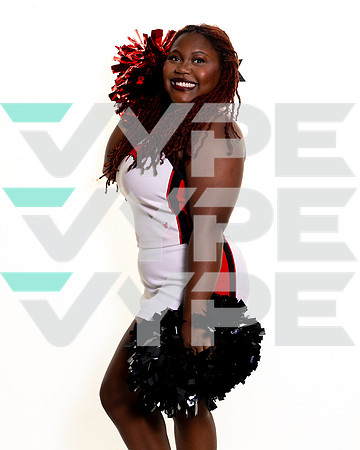 LANGHAM_CREEK_CHEER_c3-(BROWN)-2
