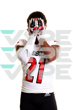 LANGHAM_CREEK_FB_21-(BROWN)-4