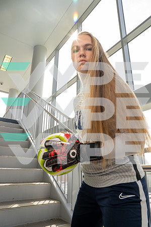 KLEIN_COLLINS_GSOC__93-(HARTOJO)