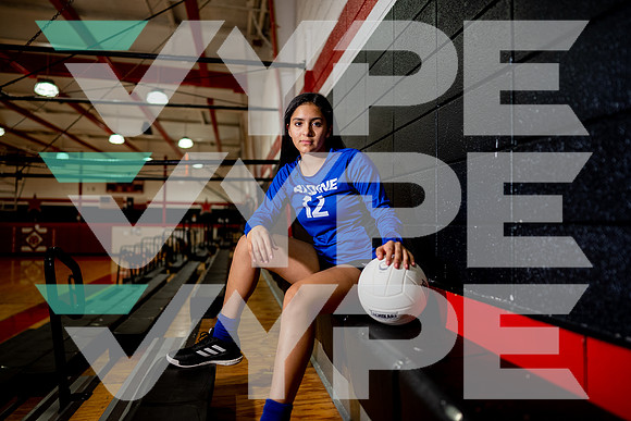 ALDINE_VB_09955-(DRISKILL)