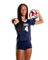 LAKE_CREEK_VB_#4-(BROWN)-3