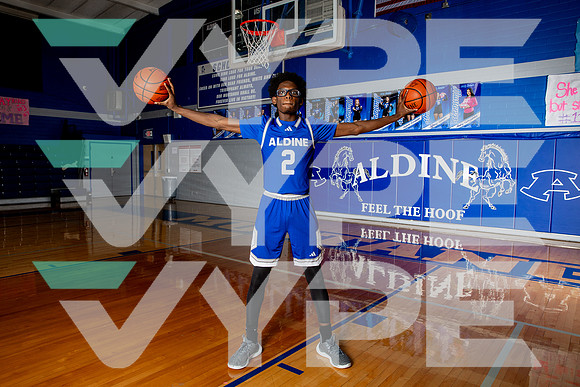 ALDINE_BB-(BROWN)-452